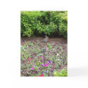 Rabbit on lawn - Vertical cards