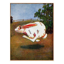 Rabbit on the Run Postcards
