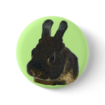 Rabbit Pet buttons by kphotos Rabbit Pet buttons