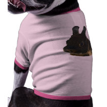 Rabbit Pet pet clothing by kphotos Rabbit Pet pet clothing