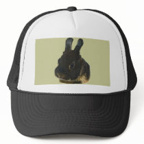 Rabbit Pet hats