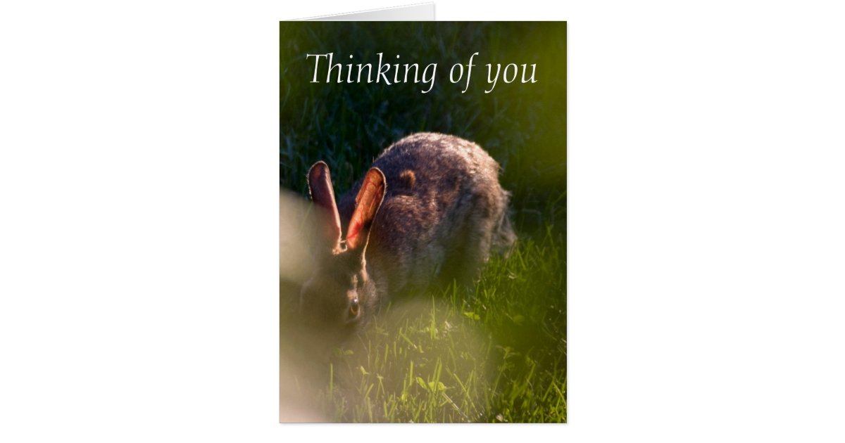 Rabbit Pet Sympathy Card | Zazzle