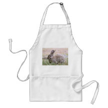 Rabbit Picture Aprons
