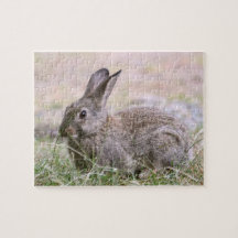 Rabbit Picture Jigsaw Puzzles