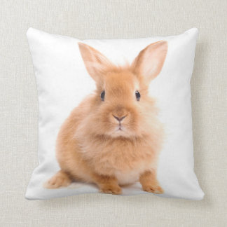 bunny rabbit pillows