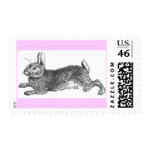 Rabbit postage