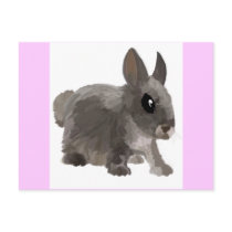 Rabbit postcard