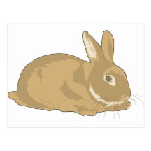 Rabbit Postcards