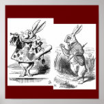 Rabbit Poster
