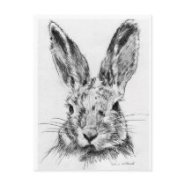 Rabbit Rabbit Post Cards
