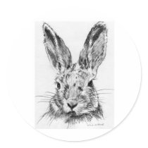 Rabbit Rabbit Round Sticker
