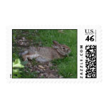 Rabbit Relaxation postage