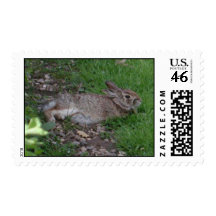 Rabbit Relaxation Postage