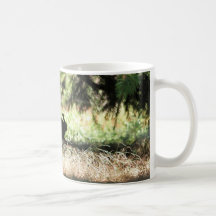 Rabbit Season Mugs
