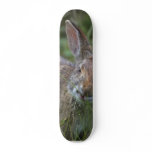 Rabbit Skate Deck