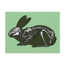 rabbit skeleton postcard