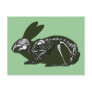 rabbit skeleton postcard