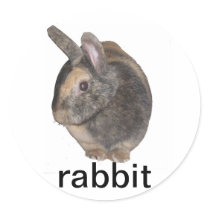 rabbit stickers
