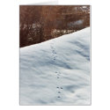 Rabbit Tracks cards
