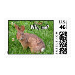 Rabbit - Who, me? Postage