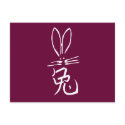 Rabbit with Chinese Character postcard