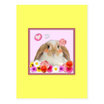 rabbit with flowers post card
