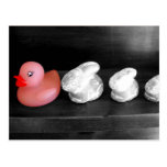 "Rabbiting On" Rubber Duck Postcard