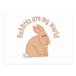 Rabbits are my World Post Cards
