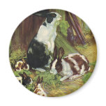 Rabbits Playing on the Farm Magnets