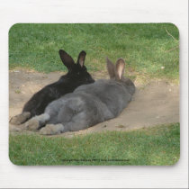 Rabbits stretched out - Mousemat. Customise. mousepads by celtxian Rabbits stretched out - Mousemat. Customise. mousepads