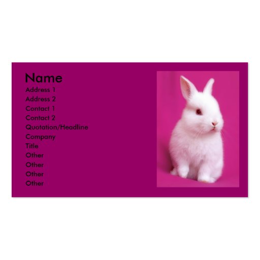 Rabbitt Business Card (front side)
