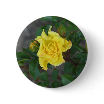 Rabble Rouser 056 buttons