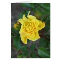 Rabble Rouser 056 cards
