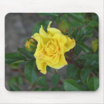 Rabble Rouser 056 mousepads