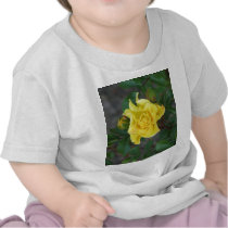Rabble Rouser 056 t-shirts