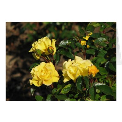 Rabble Rouser 057 Greeting Card by MobyD46