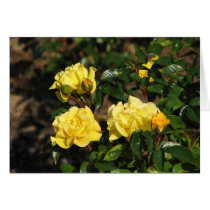 Rabble Rouser 057 cards