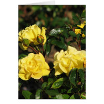 Rabble Rouser 057 cards