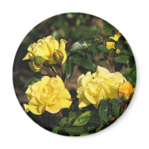 Rabble Rouser 057 magnets