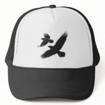 Raben ravens
