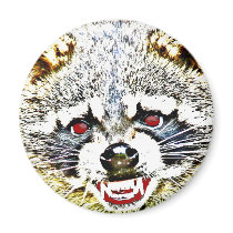 Rabid Raccoon magnets