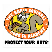 Rabid Squirrel Kung Fu Poster posters