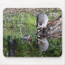 Raccon Reflection Mouse Pads
