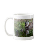 Raccon Reflection mugs