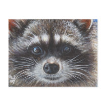 Raccoon #1 post card
