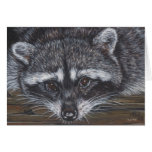 Raccoon #2 greeting cards