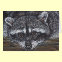 Raccoon #2 cards
