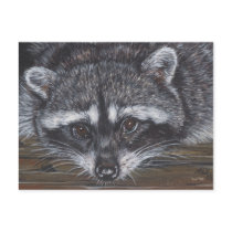 Raccoon #2 postcard
