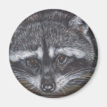 Raccoon #2 refrigerator magnet