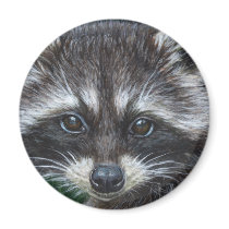 Raccoon #3 magnets